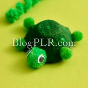 Photo PLR Content Pack - Egg Carton Turtle Craft