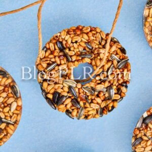 Photo PLR Content Pack - Bird Feeder Craft (Seed Ornaments)